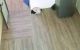 thum-8070196_oNAw8md7rs_1627963974.jpg