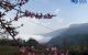 thum-8070220_bLgYoNnAyr_1627965098.jpg