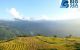 thum-8070222_0gPQ6dfoTZ_1627965219.jpg
