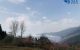 thum-m_8sXqwE7Ty1_1627965089.jpg