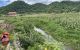 thum-m_lZ28asfV1K_1627961645.jpg