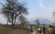 thum-8072092_MlcKQavIXC_1628058748.jpg