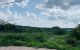 thum-8072464_lCwILYJNiP_1628078473.jpg