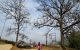 thum-8076164_EMcvy9oSCT_1628222913.jpg