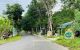 thum-m_HoLxtsrEwK_1628206519.jpg
