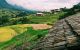 thum-8078500_BLuoNTex3c_1628352761.jpg
