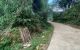thum-8081256_9vCwyntgM3_1628478821.jpg