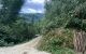 thum-8081274_yJp1kLlehP_1628479739.jpg