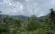 thum-8081342_Rp6dcyECha_1628482823.jpg