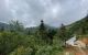 thum-8081342_SsVQHUvt8d_1628482815.jpg