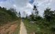 thum-8081342_v5GRtOVFBg_1628482809.jpg