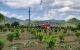 thum-8083209_0yUovEt2PK_1628581616.jpg