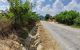 thum-8083209_MpaDUG34uC_1628581610.jpg