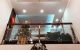 thum-m_IyxnBrio1d_1628564815.jpeg