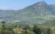 thum-8084972_84mtbHkDJs_1628655237.jpg