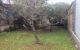 thum-8087141_QtsLwngFxX_1628761792.jpg