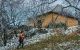 thum-m_6zXIW2pBLt_1628829004.jpg