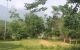 thum-m_Vq7S9dlcNG_1628838276.jpg