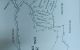 thum-8089671_eC6B4fph9W_1628925670.jpg