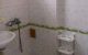 thum-8095068_Kepwdtq4Cl_1629196377.jpg
