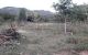 thum-8097065_jSo8CgMkD7_1629291936.jpg