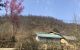 thum-8098417_LId4zDqU1k_1629345615.jpg