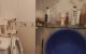 thum-8098666_hd6E2WwesS_1629366663.jpg
