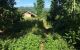 thum-8100300_qOQ03xJM7L_1629432565.jpg