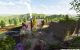 thum-8100364_bnLymlsfHP_1629439718.jpg