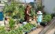thum-8103391_d5CSces7nZ_1629622757.jpeg