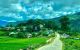 thum-8104528_OlMJxT9XCK_1629702239.jpg