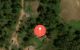 thum-8104632_TmBYZeUPjx_1629709224.jpg