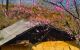 thum-m_Qw15blXRJx_1629713776.jpg
