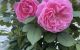 thum-8105959_EPVtgnBR2y_1629776957.jpg