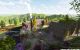 thum-8106226_cP9tbDJ4ol_1629792889.JPG