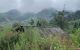 thum-m_UjvfLHhDwz_1629801624.jpg