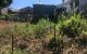 thum-m_yskISPf3YC_1629788672.jpg