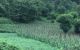 thum-m_gdUw2Wye83_1629970122.jpg