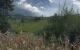 thum-8115675_up9IUGnOgX_1630295376.jpg