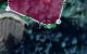 thum-m_aFbmeY9puU_1630317930.jpg