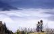 thum-8119076_1THlfQ4i7K_1630475893.jpg
