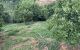 thum-8119127_WSitXsZL1M_1630482642.jpg