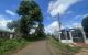 thum-m_RTn7KcHNCq_1630465299.jpeg