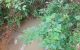 thum-8121280_hdrGjAXt4o_1630608283.jpg