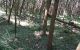thum-8121280_j26n89dGEa_1630608243.jpg