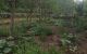 thum-8121564_aWpL5e97Az_1630643793.jpeg