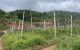 thum-8121577_tNTW8xadYw_1630645025.jpeg