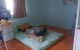 thum-8124632_6N2BGO8Qd5_1630825680.jpg