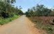 thum-m_vC4EmsgSP5_1630780744.jpg