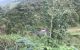 thum-8126062_yYCjL97rGh_1630921249.jpg